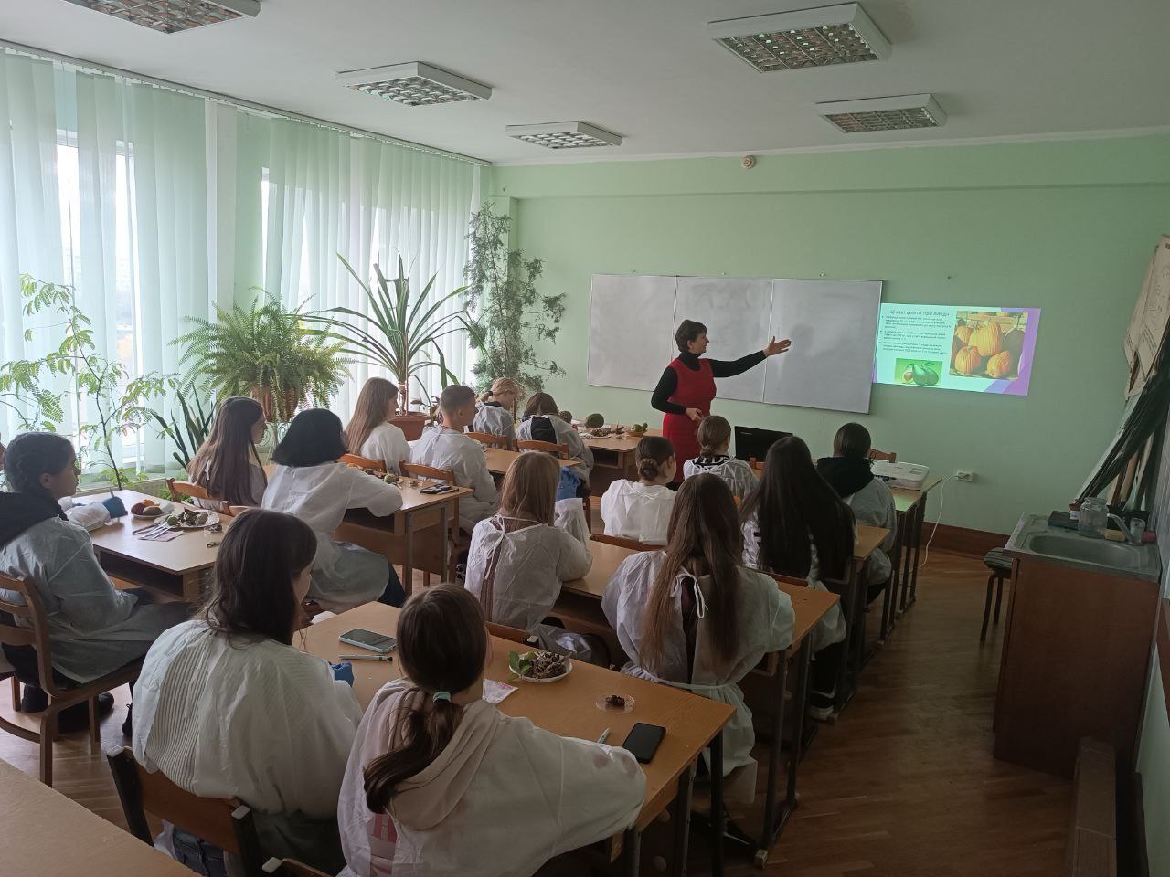 Продовжуємо знайомити учнів із факультетом біології та лісового господарства