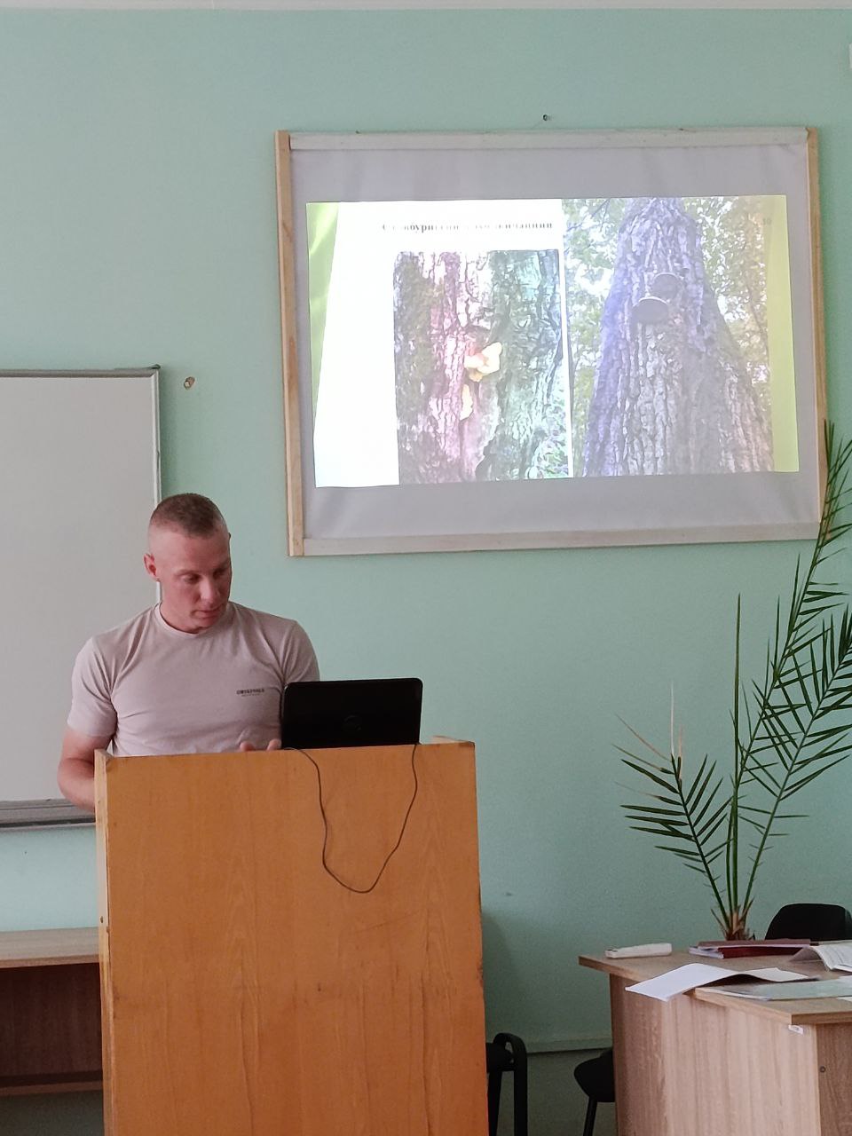 Захист бакалаврських робіт на кафедрі лісового та садово-паркового господарства