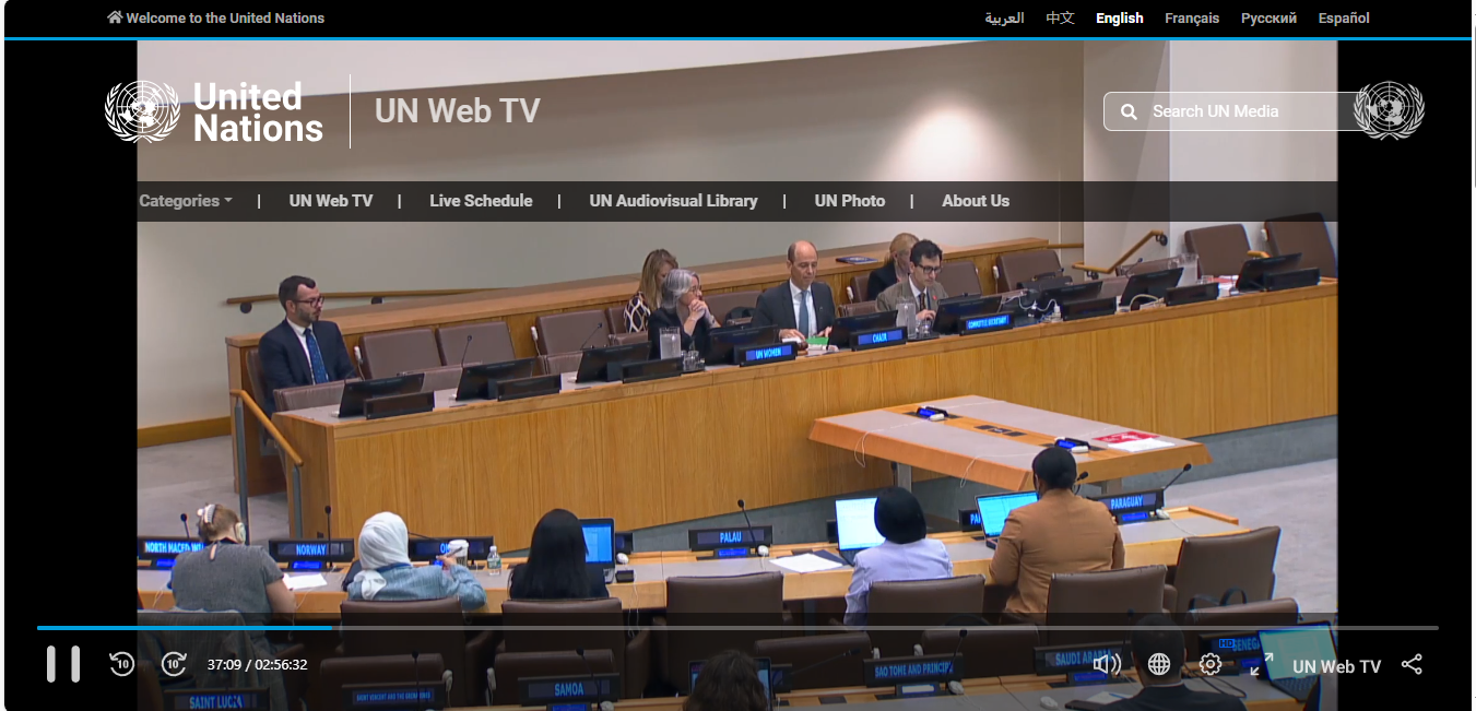 Аспірантка ФМВ виступила на засіданні комітету Генеральної Асамблеї ООН