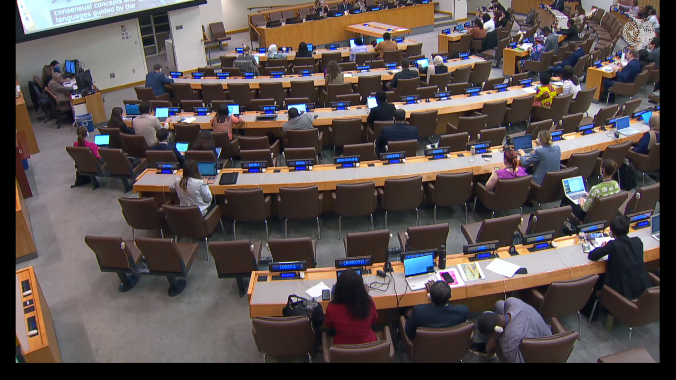 Аспірантка ФМВ виступила на засіданні комітету Генеральної Асамблеї ООН