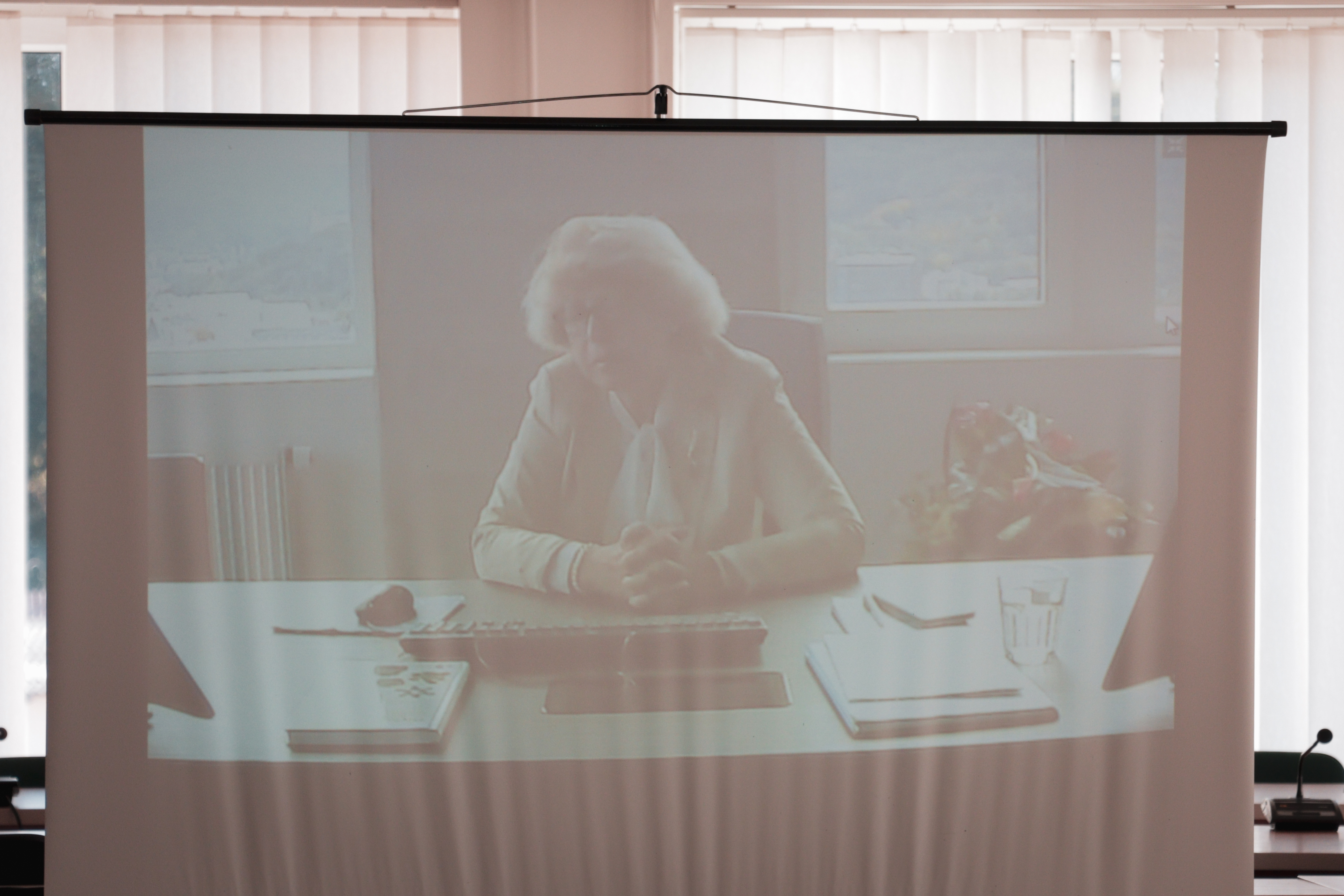 Town and Gown 2.0: досвід Вишеградської групи у сфері інновацій та індустрій для безпеки