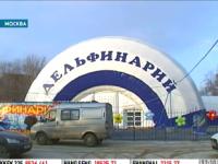 Дельфинарий на ВВЦ, Москва