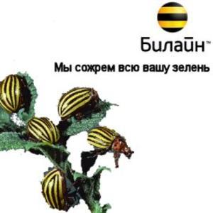 Билайн интернет тверь