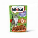 KiteKat