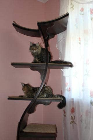 Кошкин дом