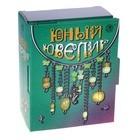 Юный ювелир Мини-Маэстро