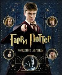 Книга "Гарри Поттер. Рождение легенды" Брайан Силби