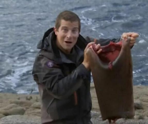 Передача "Выжить любой ценой.", Discovery Channel