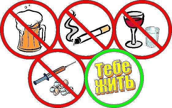Здоровый образ жизни