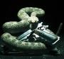 Игра "Hitman: Absolution / Hitman 5"