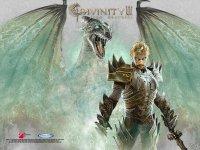 Игра "Divinity 2 – Ego Draconis"