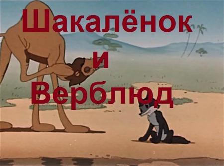 Мультфильм "Шакалёнок и верблюд" (1956)