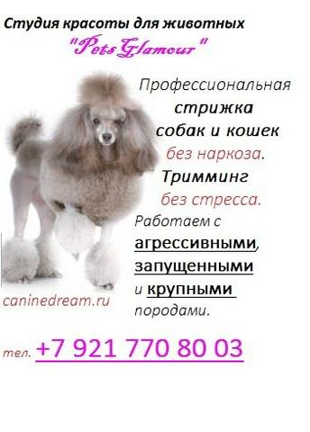 ЗООСАЛОН "PETS GLAMOUR" в Колпино