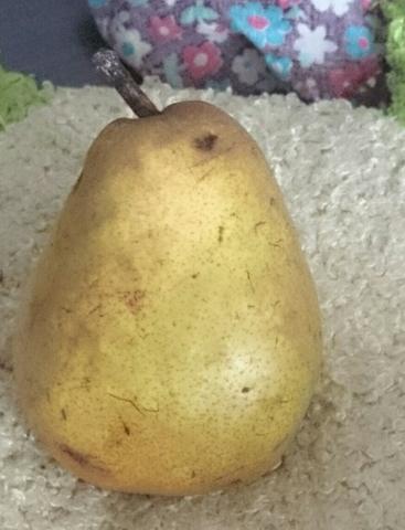 Груша"комес "