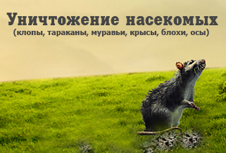 Стоп-инсект, Г.Санкт-Петербург