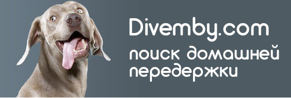 Divemby - передержка животных в домашних условиях, Москва