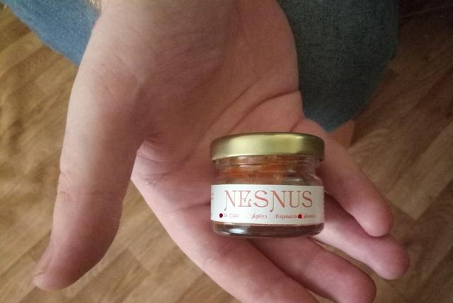 Nesnus