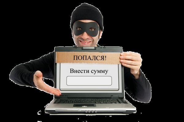 Мошенники Warera.net