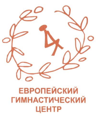 Спортивная площадка "Европейский Гимнастический Центр", Г Москва