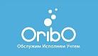 Орибо- блестящее решение проблем