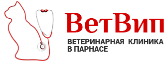 Ветеринарная клиника "Ветвип", Г. Санкт-Петербург