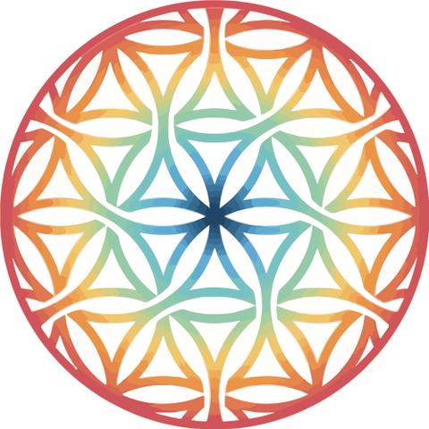 Roy.club - платформа для совместного парамайнинга