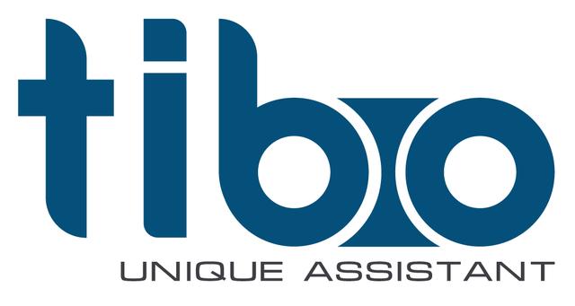 Робот мойщик окон Tibo