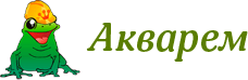 Акварем, Г  Москва