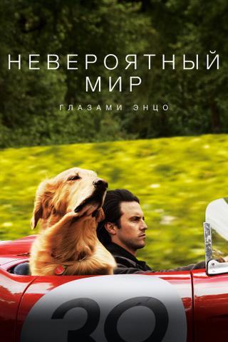 Фильм "Невероятный мир глазами Энцо" (2019)