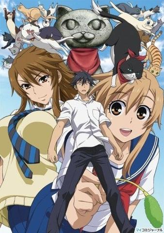 Сериал "Кошачьи прихоти!" (2009)