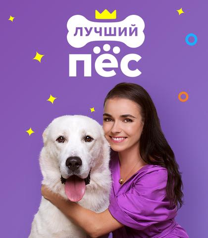 Передача "Лучший пёс", ТВ3