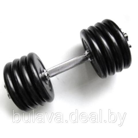 Гантель TORRES 22 кг