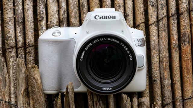 Фотоаппарат Canon EOS 250D