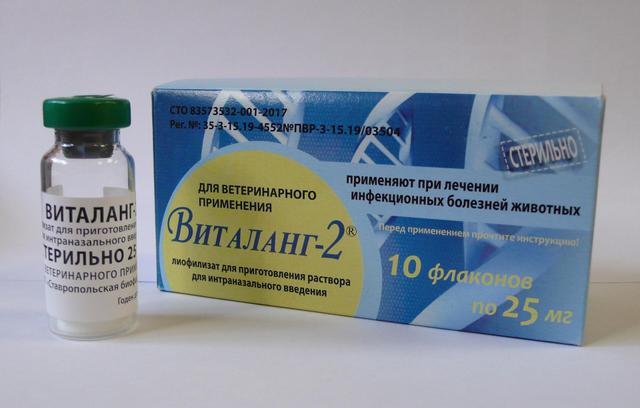 Виталанг 2