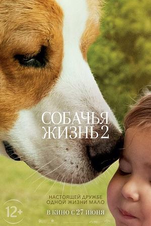 Фильм "Собачья жизнь 2" (2019)