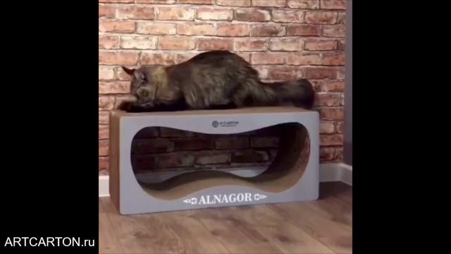 Компания ARTCARTON