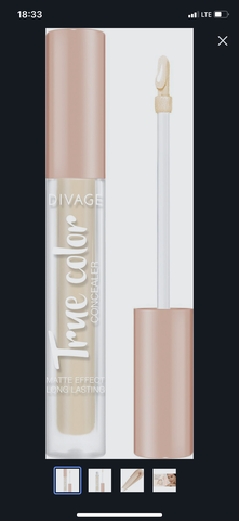 Консилер Divage True Color