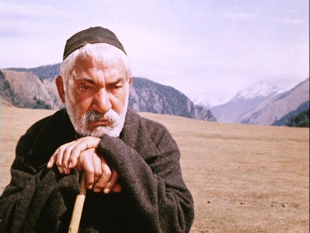 Чито грито, чито маргарито...