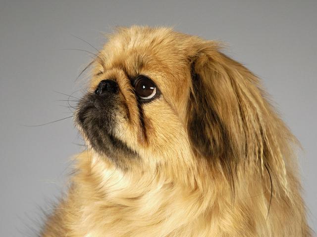 Маленький милаш