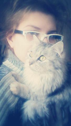 Милота