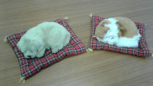Миленькие зверята, которые очищают воздух