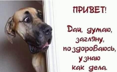 Талантливый и, думается мне, хороший человек.