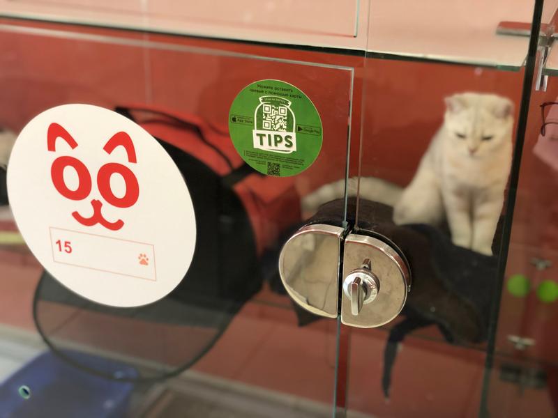 Доступно и комфортно!