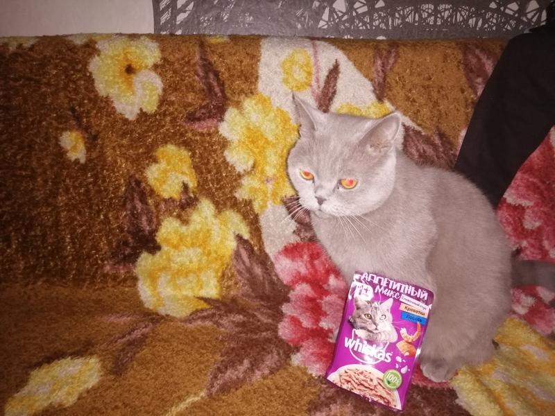 Отличная еда для нашего кота. кот доволен. Стало заметно, чт