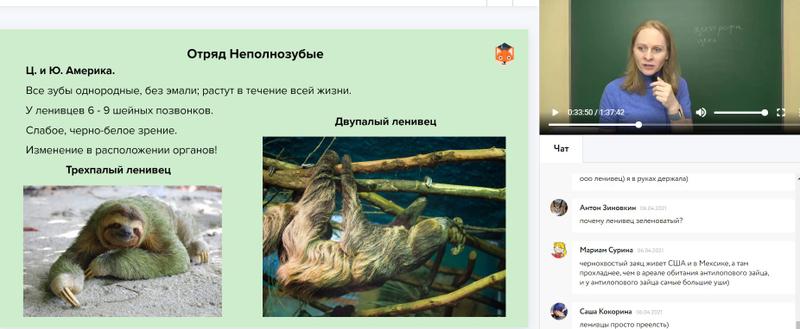 Отличная школа для детей на семейном обучении