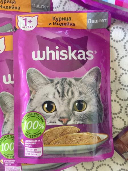 Котикам нравится