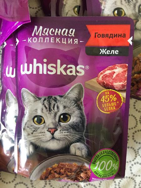Котикам нравится