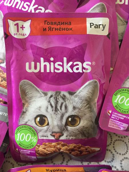 Котикам нравится