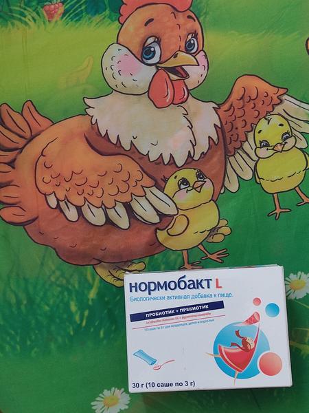 Наладил работу ЖКТ