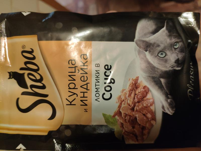 Кошка кушает
